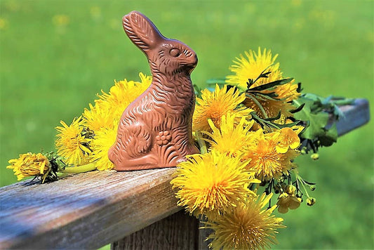 dark chocolate bunny